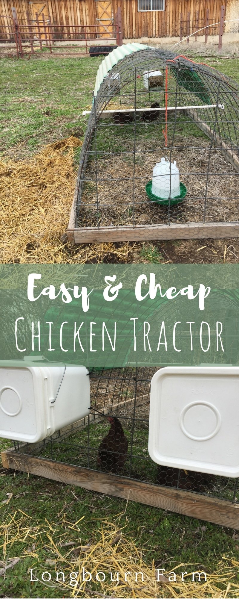 How to build an easy, DIY Chicken Tractor with a simple frame wire outside. Use materials you have easily available to make it cost effective, or free!