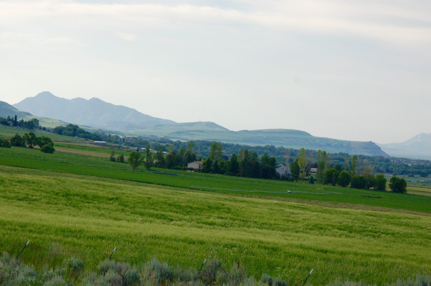 View across a field with the view of mountains in the background.