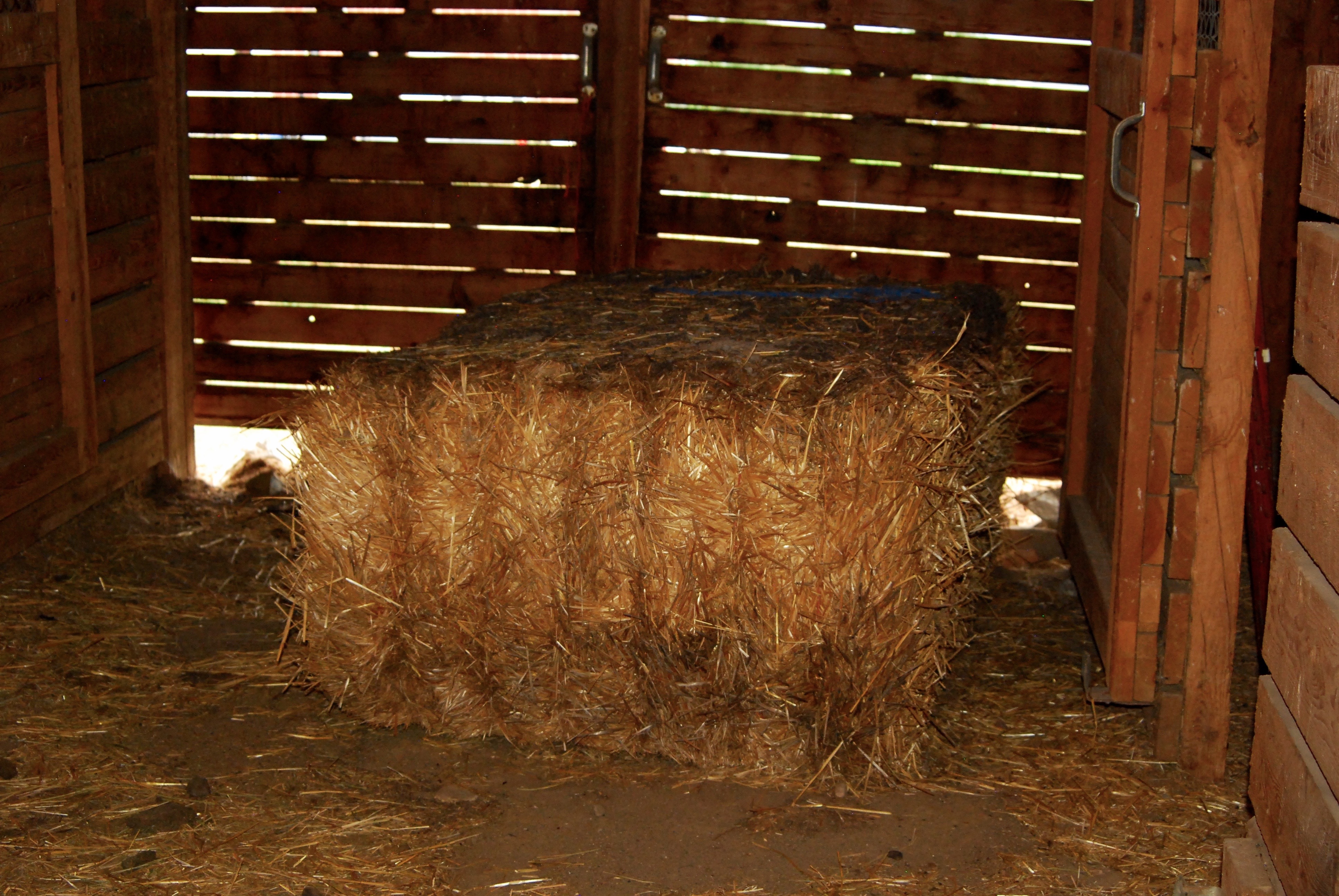 Straw bale in the barn isle
