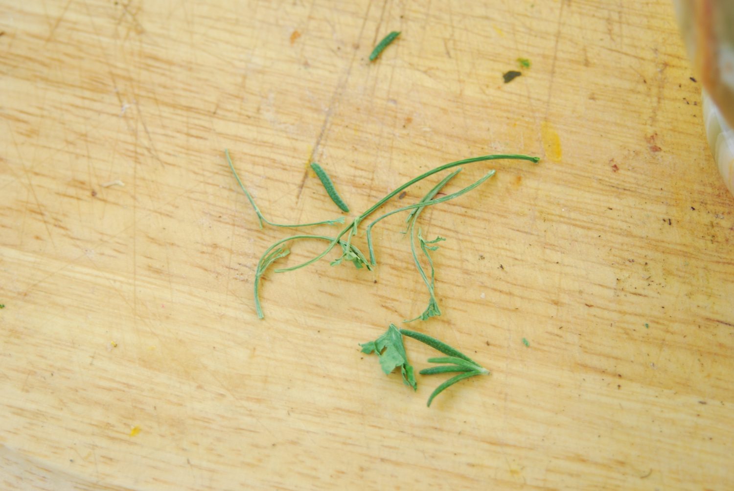 Leftover dried parsley sprigs.