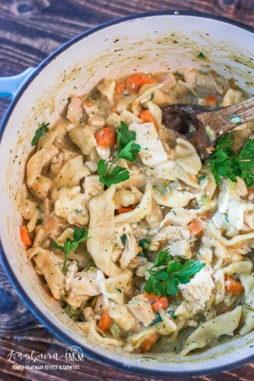 This homemade chicken and noodles recipe is thick and creamy base filled with chicken and delicious homemade egg noodles. #chickenandnoodles #chickenandnoodleseasy #chickenandnoodlesrecipe #chickenandnoodlesovermashedpotatoes #chickenandnoodlesstovetop #chickenandnoodleshomemade #chickenandnoodlescreamy #chickenandnoodlesoldfashioned #chickenandnoodlesfromscratch