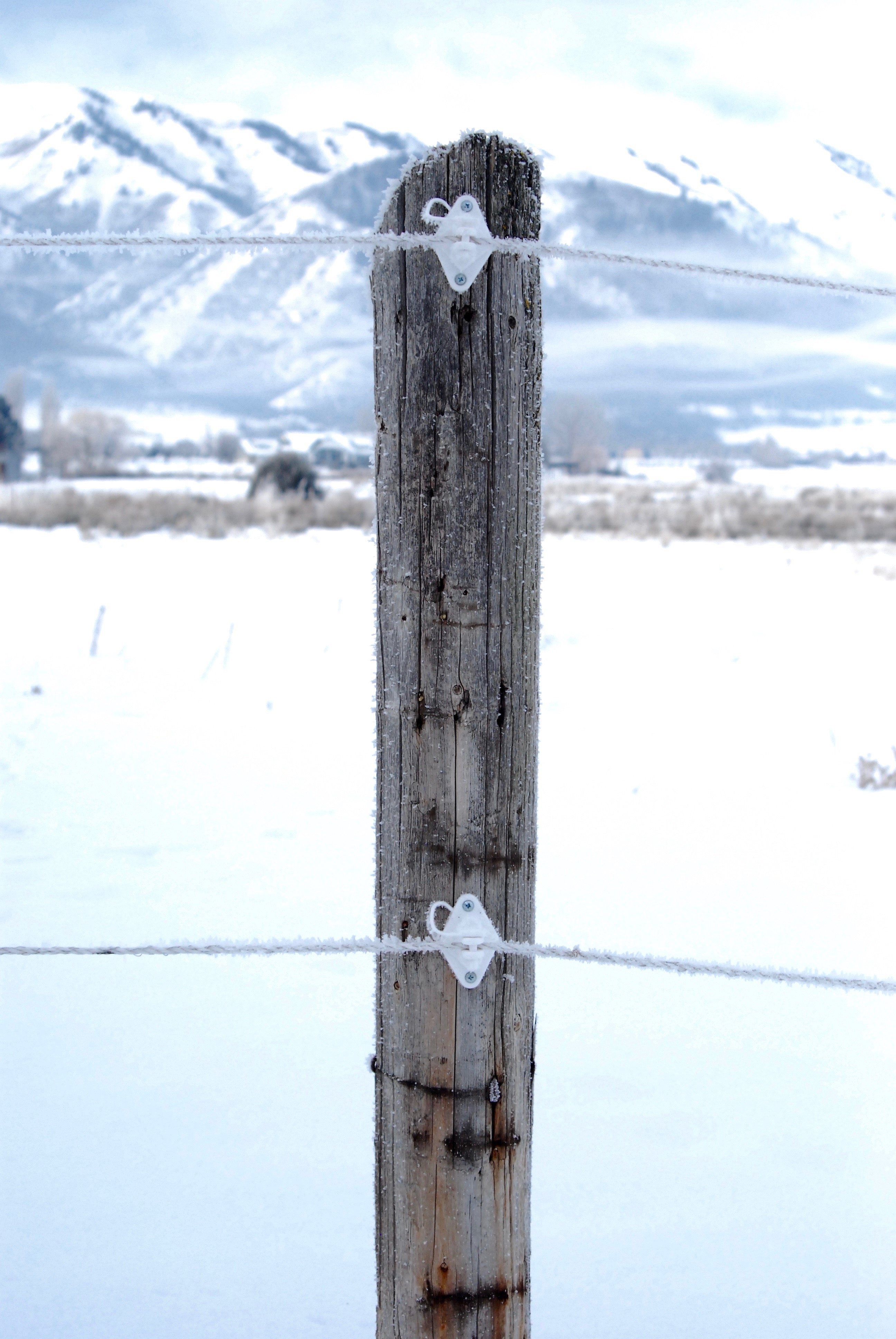Wood post electric fence insulators