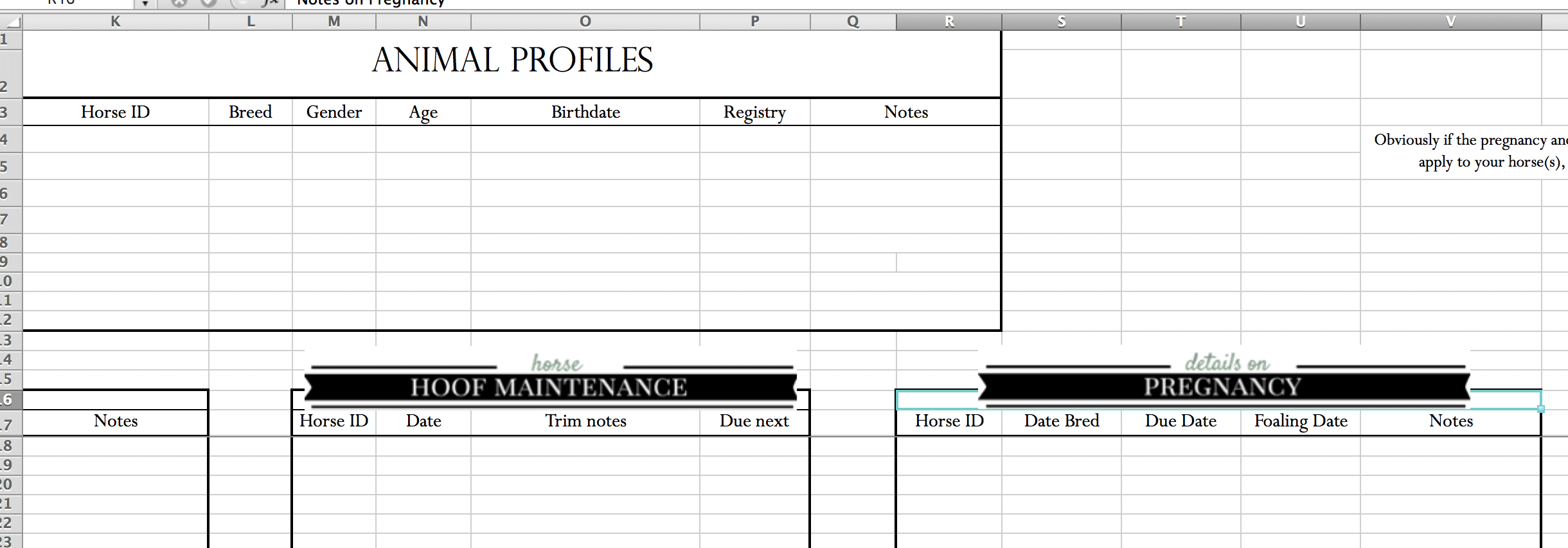 Medical Records Excel Template from longbournfarm.com