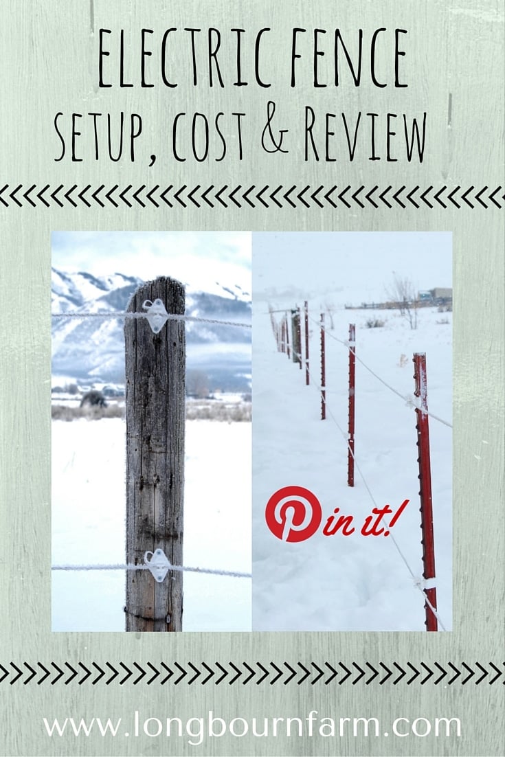 Read a very detailed review on setting up an electric fence. Check out information on cost, how we set it up, and durability!