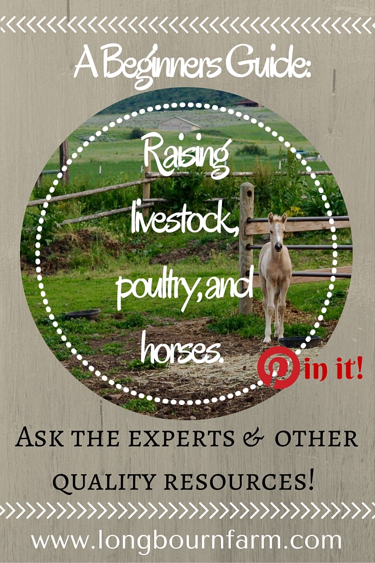 Having access to quality information about raising livestock, poultry, and horses is important, regardless of how long you've been farming. Get all the information you need to raise livestock on your small hobby farm!