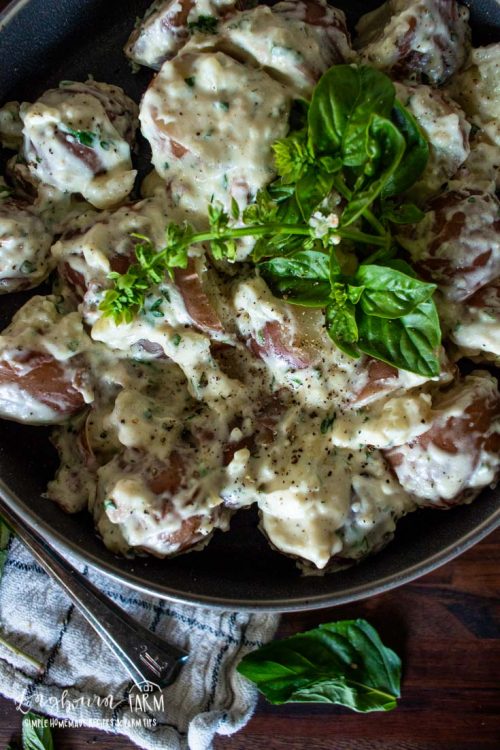 upclose aerial view of creamed herb potatoes garnished with herbs