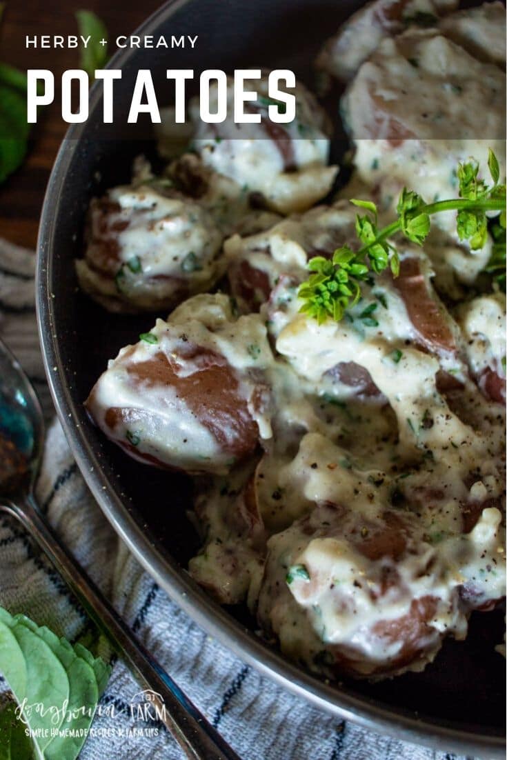 These herby creamed potatoes are the perfect pairing for any dish. Packed with flavor and easy to fix, they are a total crowd pleaser!