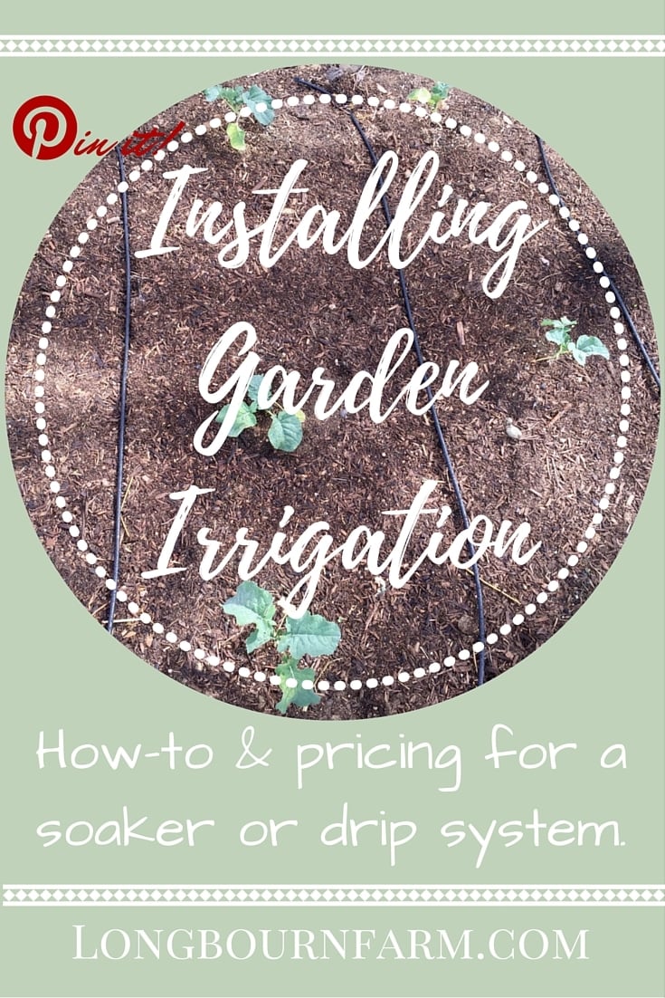 How to install drip or soaker irrigation in your garden. Its an easy and fast garden watering system that you can set up yourself and a great way to conserve water. 