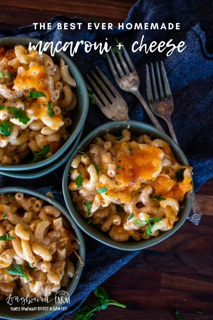 Take a bite of pure comfort when you try this old fashioned macaroni and cheese recipe. Cheesy with a perfect balance of flavor!