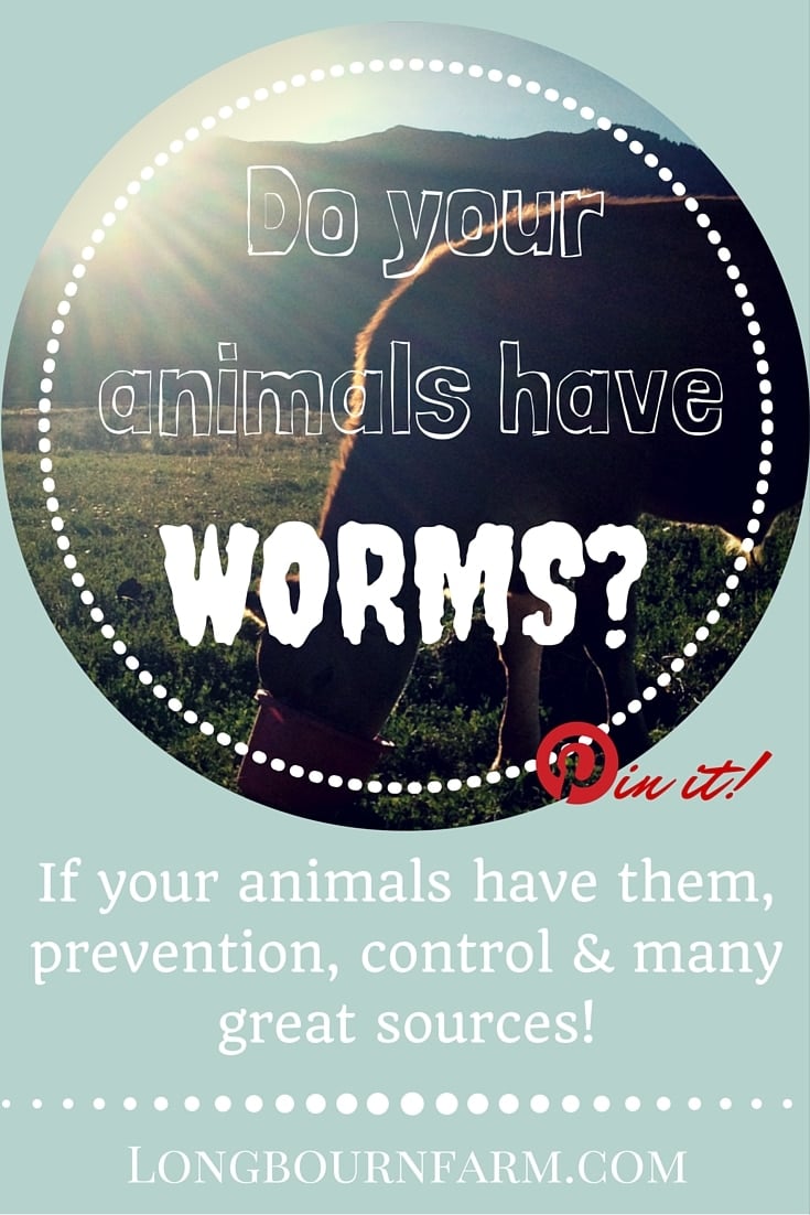 Find out if your goat, chickens, dogs, cats, horse, cattle, sheep or any of your other animals have worms! Serious issue that is easy to manage and prevent.
