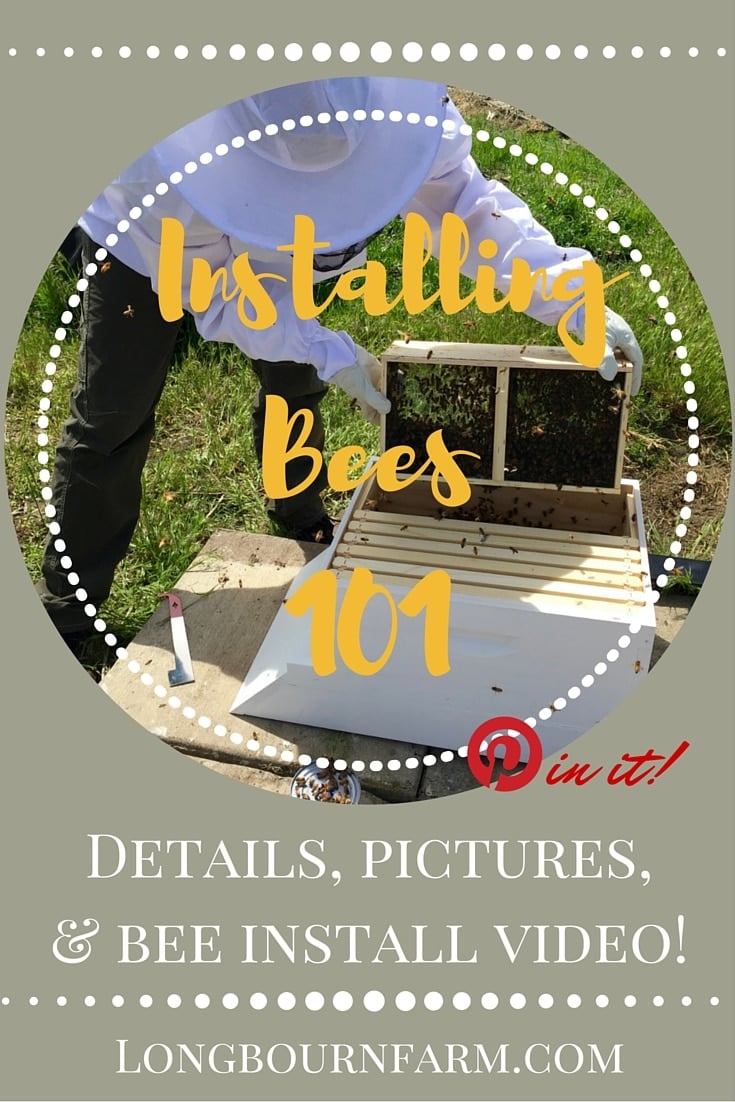 Installing package bees isn't hard! There are a few simple steps and tips to get it done correctly and safely. Check out step by step videos and instruction in this post! 