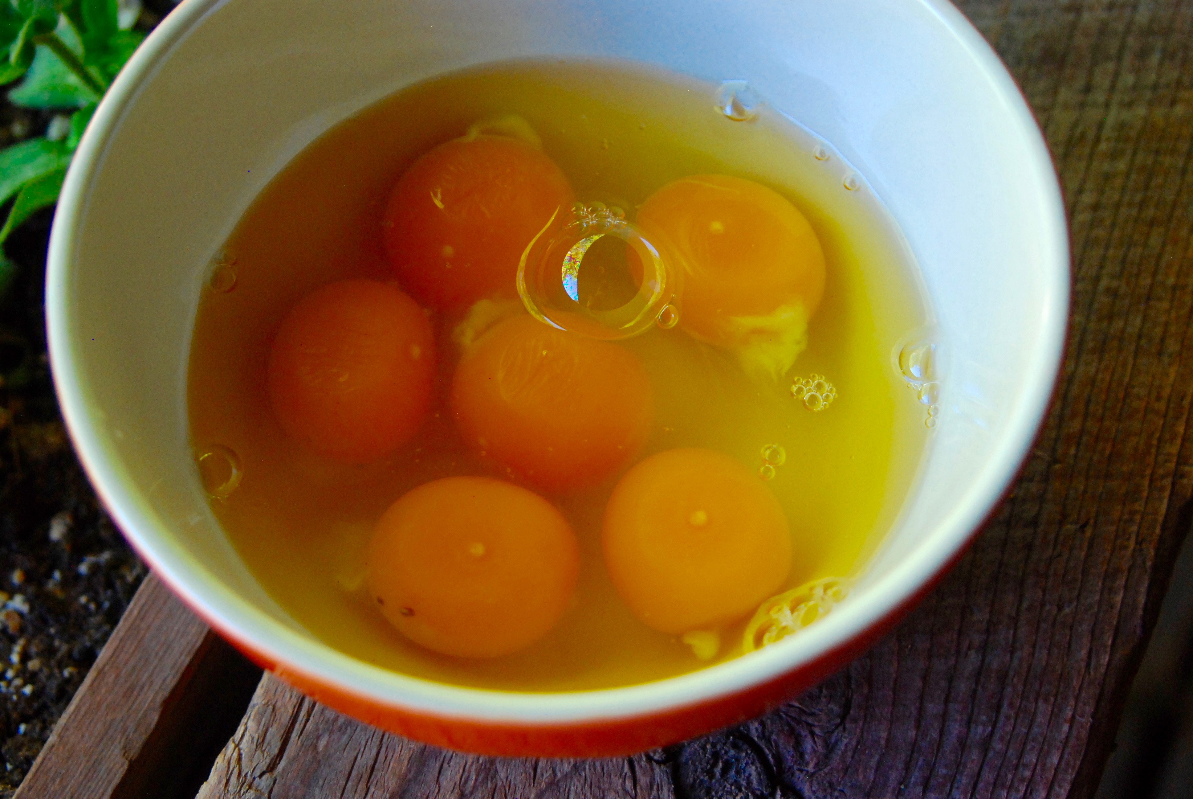 Fresh Eggs