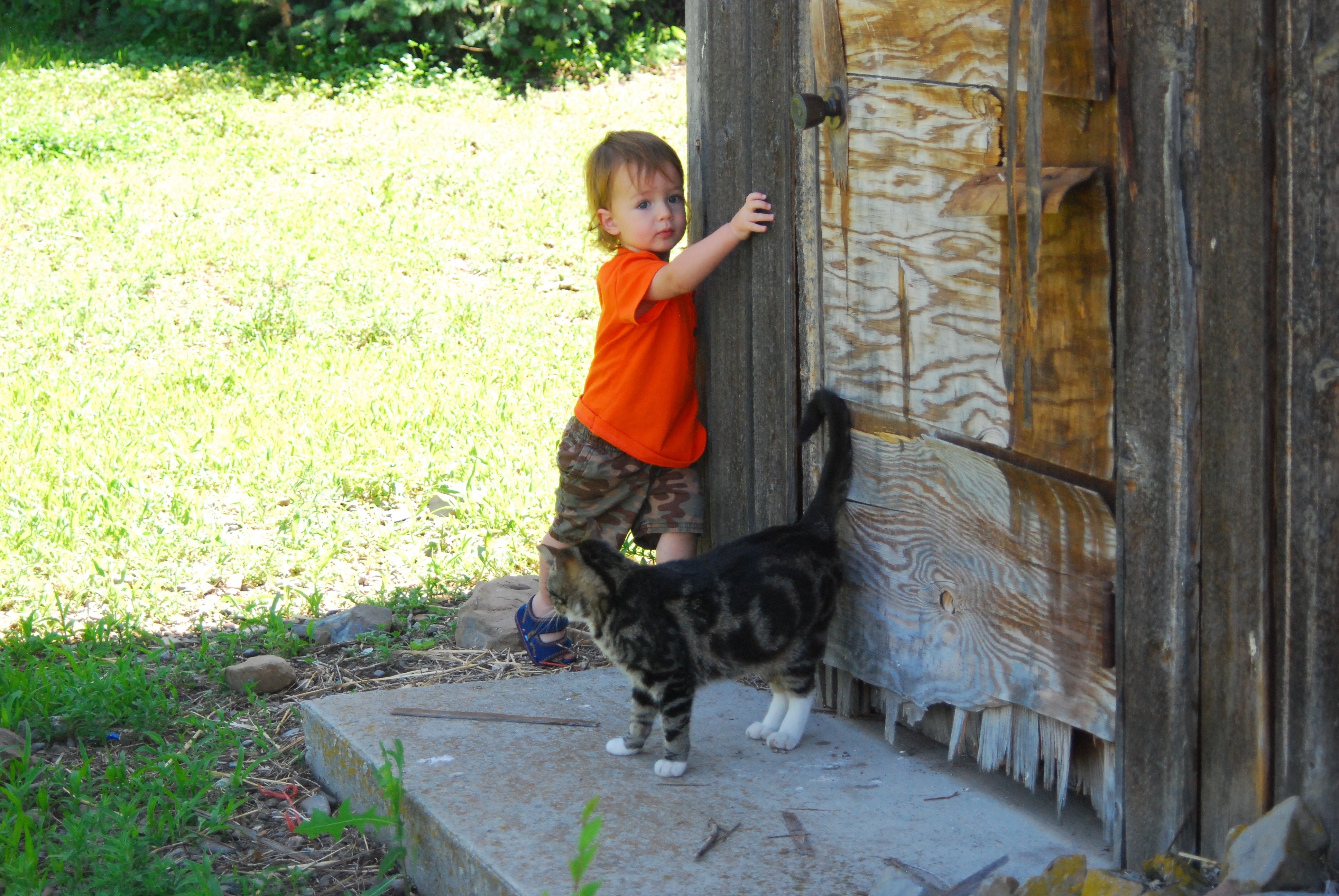 Abram and Turtle the Cat