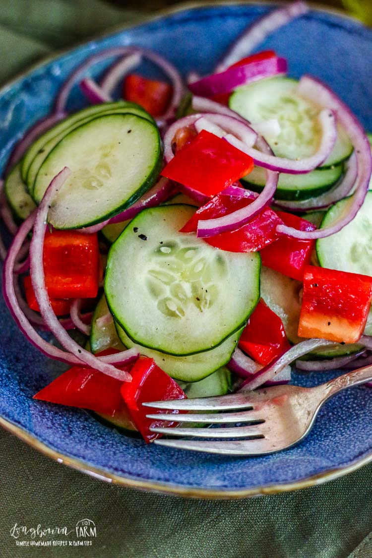 Close-up of easy cucumber salad recipe on a blue plate.