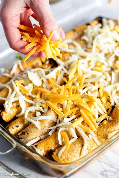 Sprinkling cheese onto a pan of beef enchiladas.