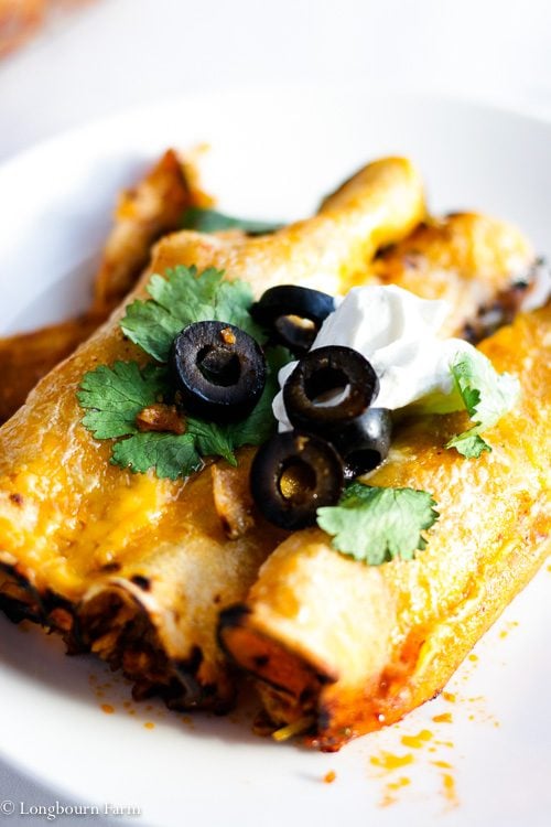 Close-up of three beef enchiladas topped with cilantro, sour cream and olives. 