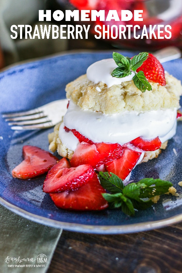 This homemade easy strawberry shortcake recipe is incredible! Soft and sweet cake piled with strawberries and whipped cream. You'll always get asked for this recipe! #longbournfarm #strawberryshortcakerecipe #strawberryshortcakes #strawberryshortcake #homemadeshortcake #homemadestrawberryshortcake