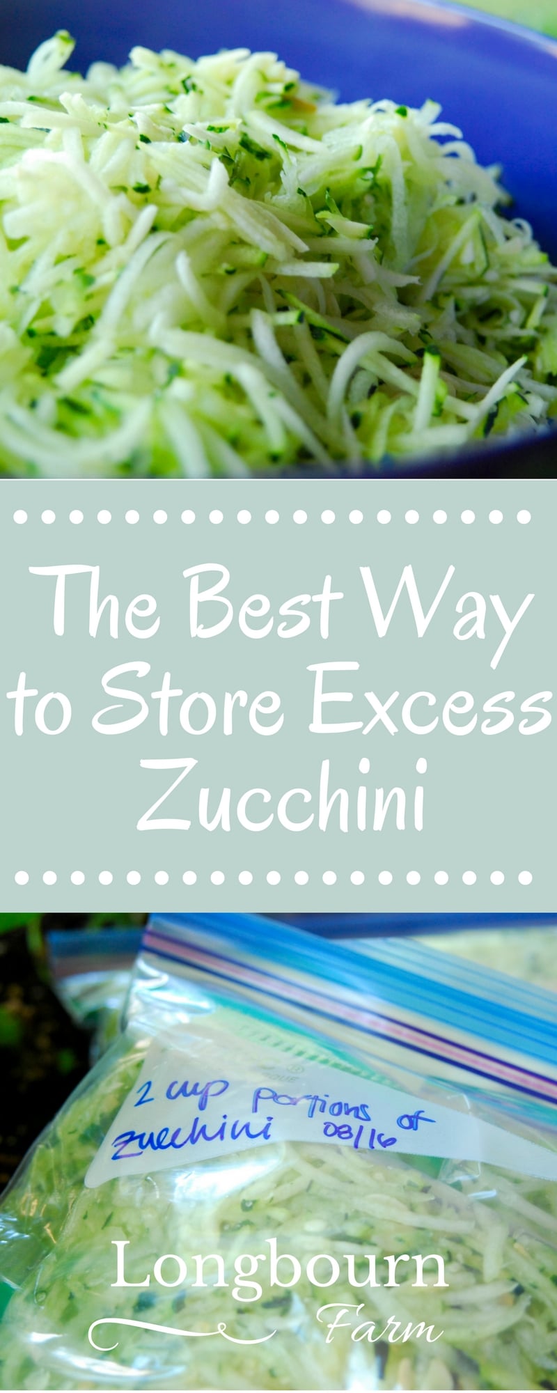 Find out the best way to store zucchini! Shredding and freezing it is the way to go! It's easy, fast, and lets you enjoy it all winter long.