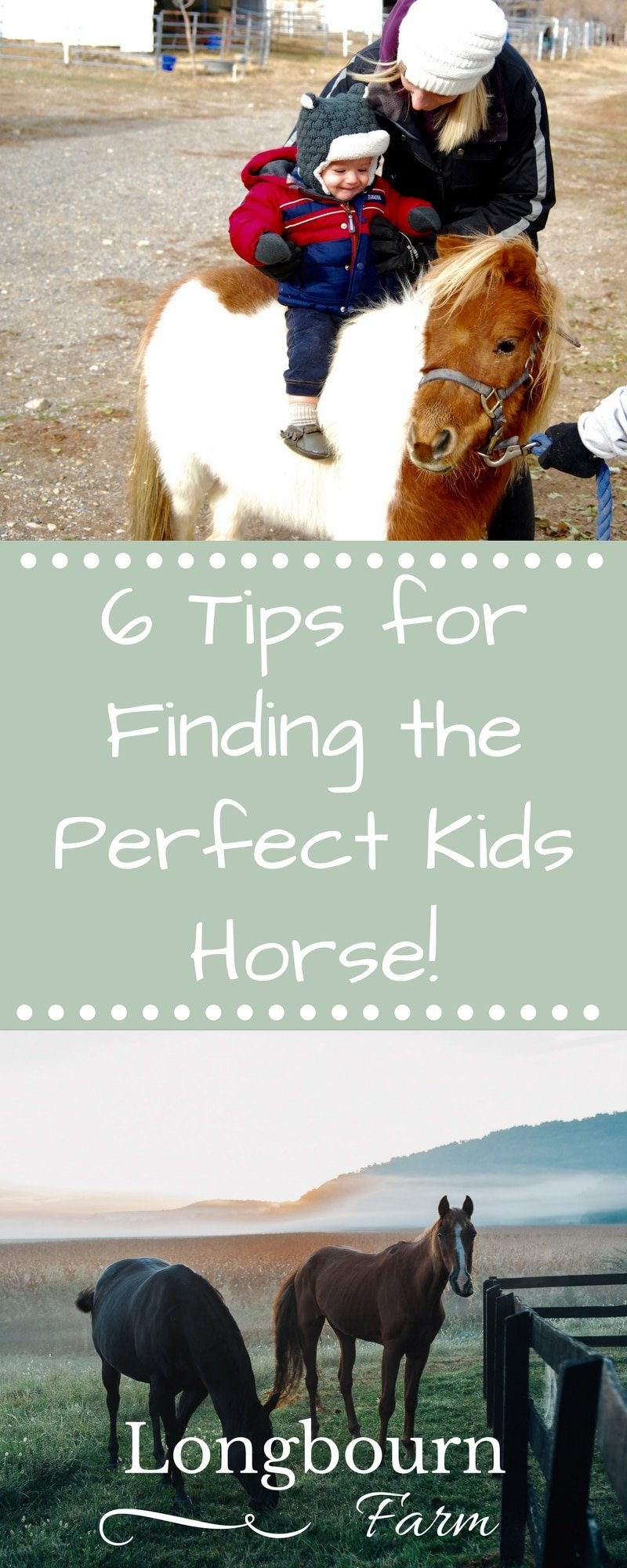Finding the perfect kids horse can be a challenge, but here are 6 tips to help you on your search for the right mount for your family!