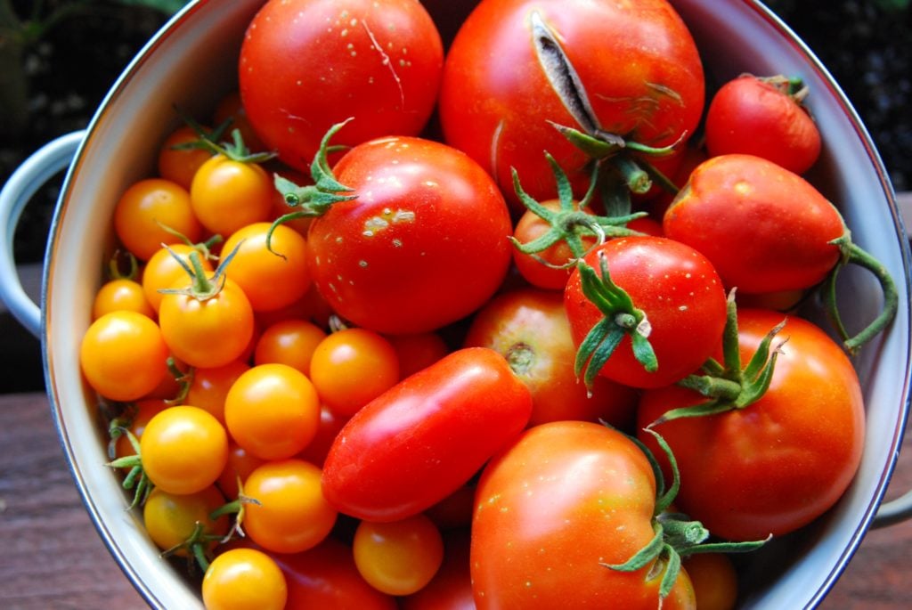 Quick Easy Way to Preserve Tomatoes