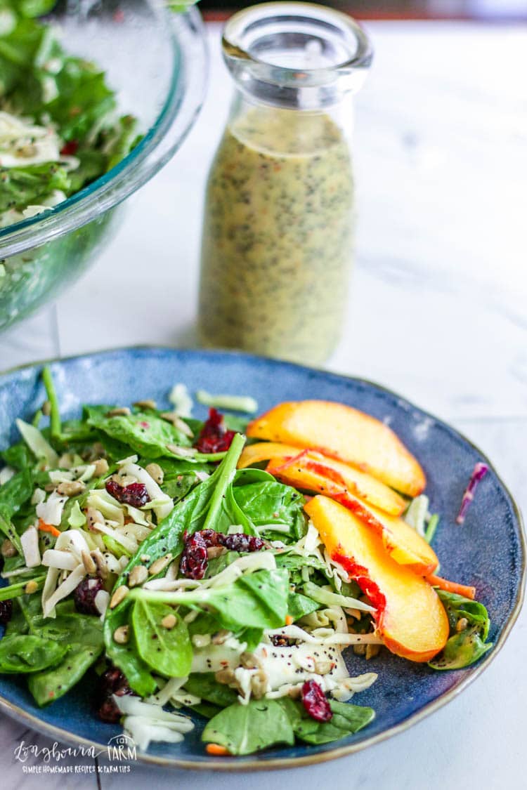 Creamy poppy seed dressing behind a plate of quick spinach salad.