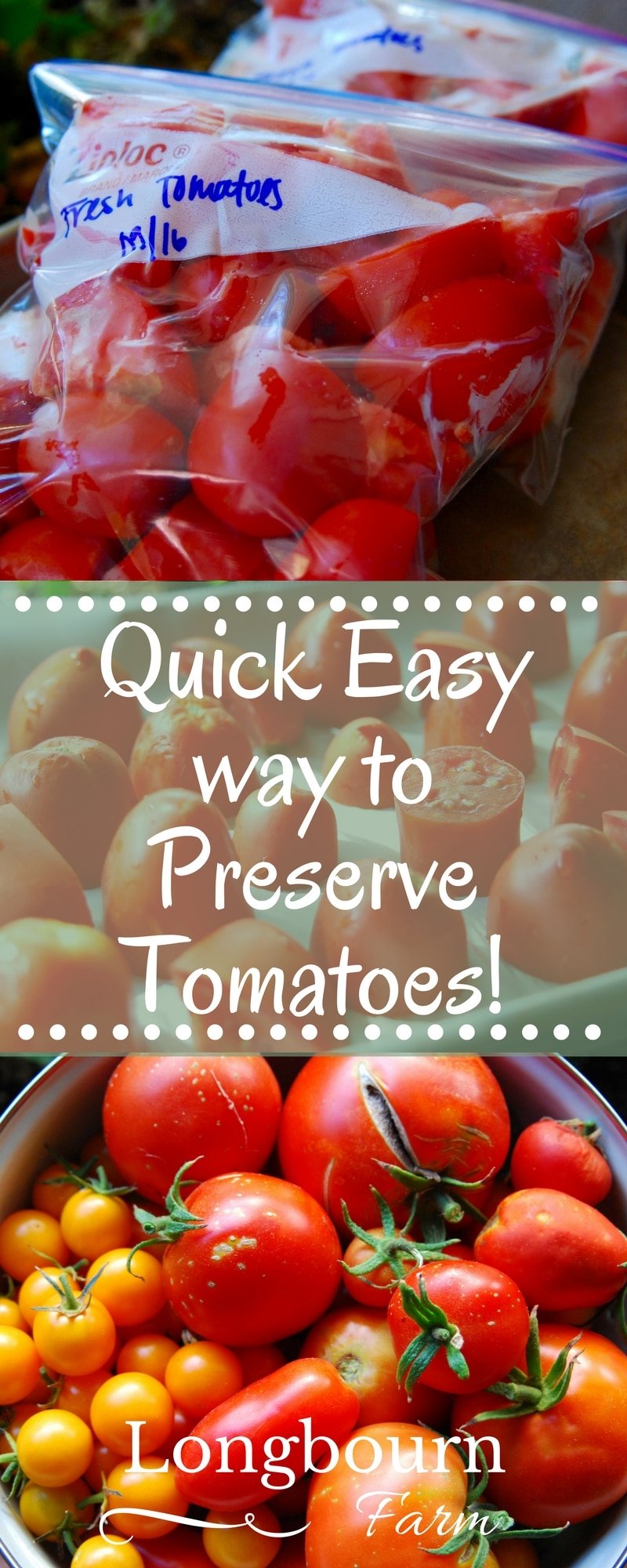 Looking for a quick easy way to preserve tomatoes? Freeze them raw! Simply dice, flash freeze, bag them up and you'll have garden tomatoes all year long.