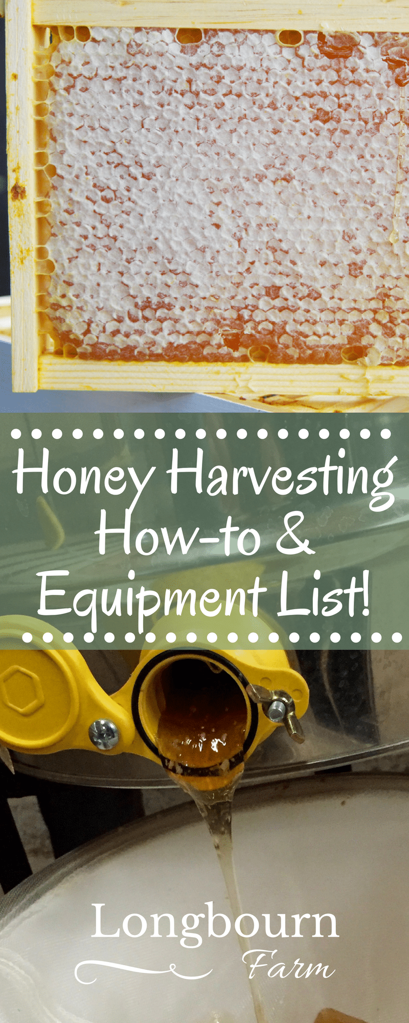 Get an informative and handy list of honey harvesting equipment as well as a how-to guide, perfect for the first time bee-keeper!