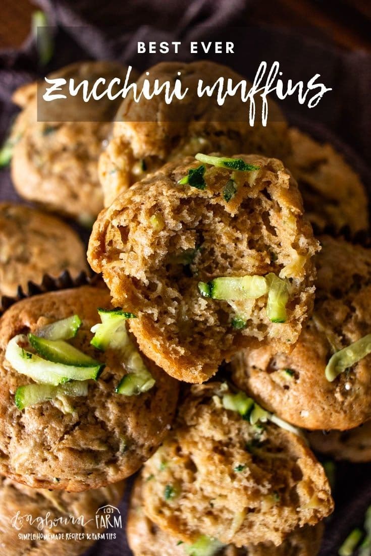 These are the best zucchini bread muffins! They are light and airy, not dense and greasy. This recipe will turn out every time you make it!