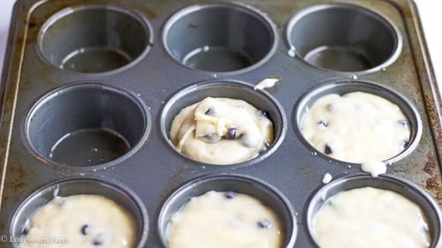 Scooping easy blueberry muffin batter into the muffin tin.
