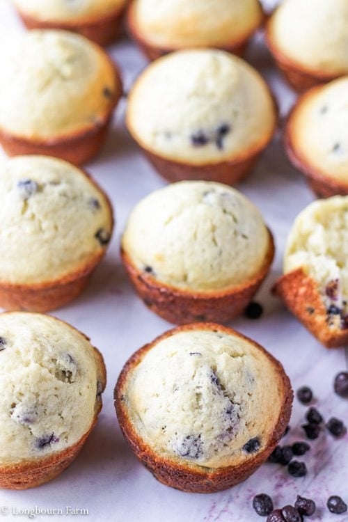 Whole easy blueberry muffins in a grid on a white board.