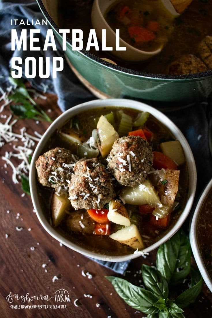 Italian Meatball Soup made with homemade meatballs is a family favorite. A hearty broth with vegetables makes it a satisfying meal.