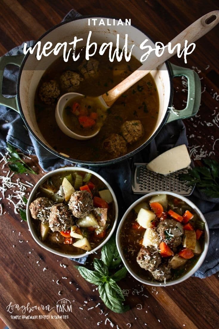 Italian Meatball Soup made with homemade meatballs is a family favorite. A hearty broth with vegetables makes it a satisfying meal.