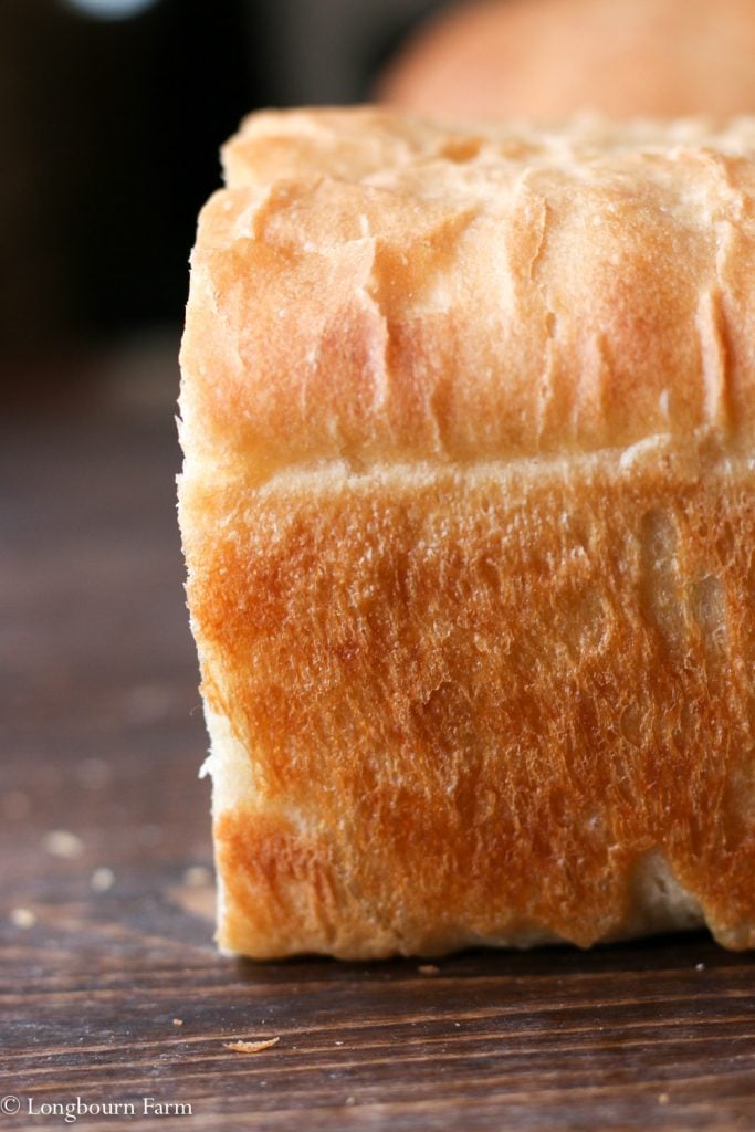The Best Homemade Bread Recipe!