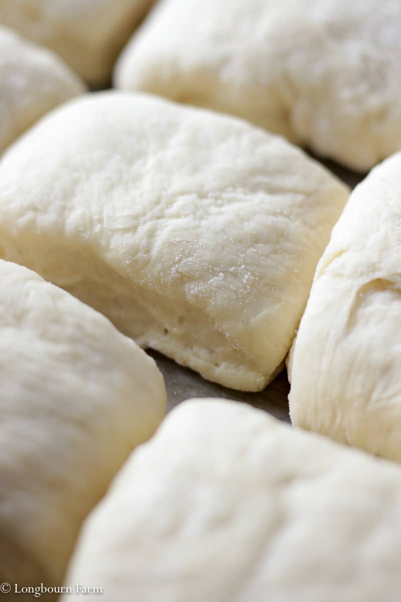 Close up of dinner roll dough rising on sheet pan.