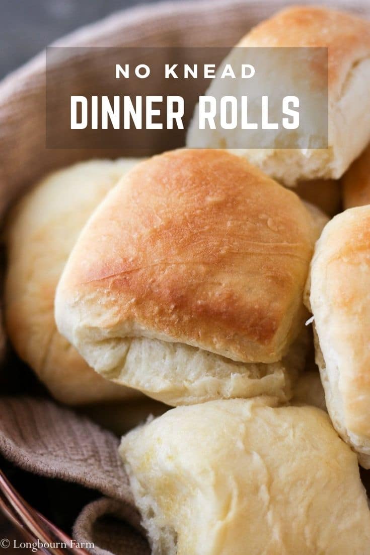 This easy dinner roll recipe is perfect for any meal, especially holiday dinners! No kneading required, these soft, fluffy, rolls are perfect every time. #dough #bread #baking #bakingfromscratch #rolls #dinnerroll #bakingbread #homemadebread #homemaderolls #breadrolls #bakingrolls #yeastbread #yeastrolls #easyrolls
