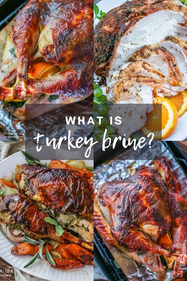 What is brining? In this post we will talk about what meats you normally brine, how brining works, and why you would want to brine your Thanksgiving turkey .