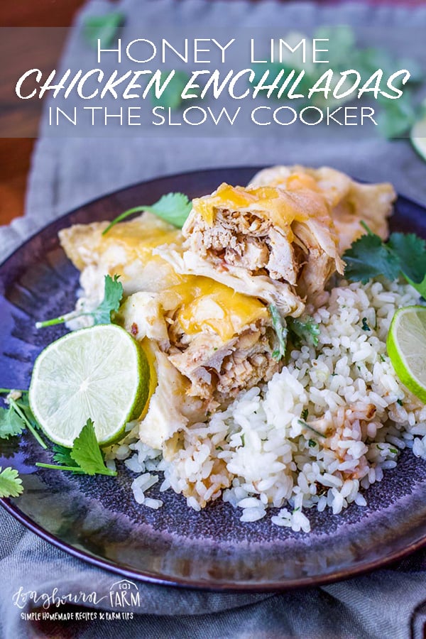 Slow cooker chicken enchiladas are packed with honey lime flavor and could not be easier to make! Prep in the morning and assemble them later for dinner! #chickenenchiladas #honeylime #honey #lime #honeylimechickenenchiladas #chickenenchiladaseasy #chickenenchiladasslowcooker #chickenenchiladascrockpot #chickenenchiladasrecipe
