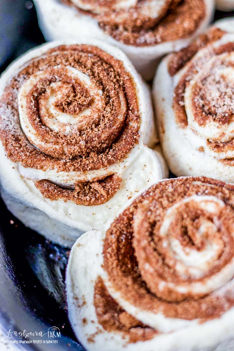 Unbaked homemade cinnamon rolls in a cast iron skillet, close up.