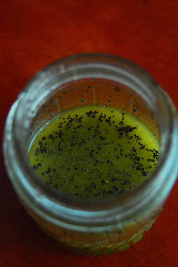 Top view of homemade poppy seed dressing.