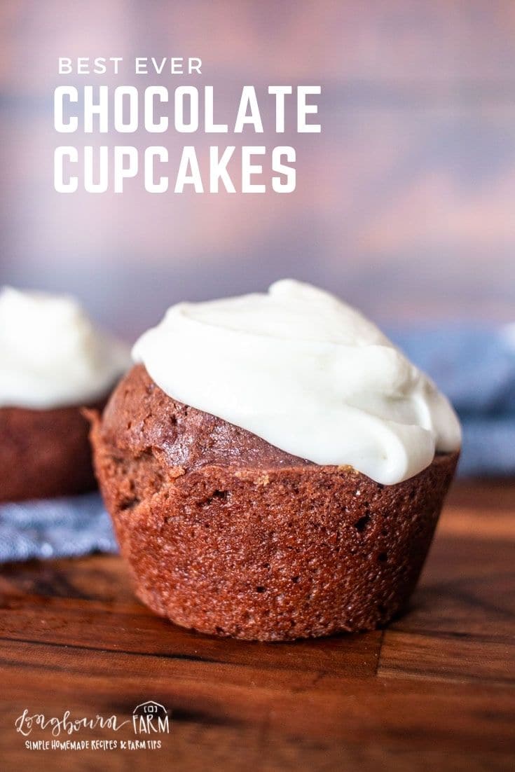 Rich, moist, & easy to make, these best-ever homemade chocolate cupcakes are sure to please anyone! Cream cheese icing makes them even better!