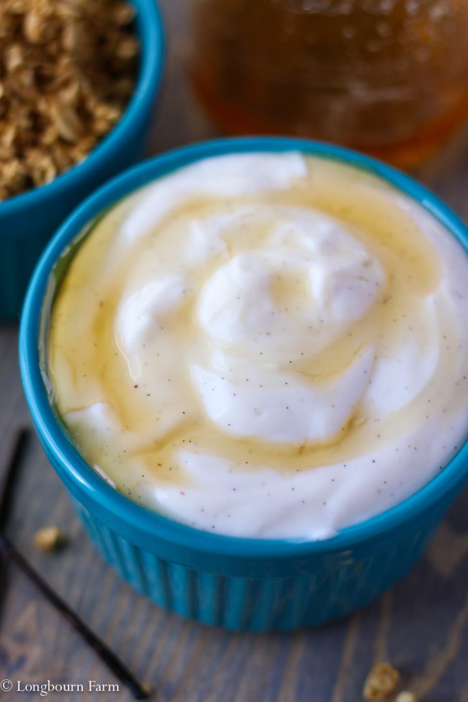 Quick Breakfast Idea: flavored yogurt + granola!