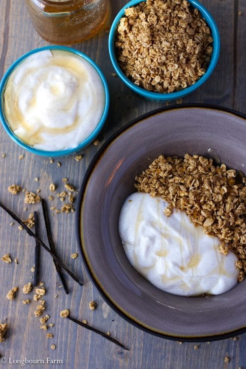 Honey vanilla yogurt is an awesome quick breakfast idea. Buy plain yogurt and flavor it yourself to control sugar, flavor, and texture!