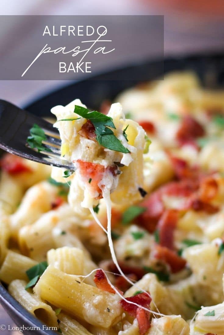 A simple and easy alfredo pasta bake is just what you need. Bubbly cheese on the outside, creamy on the inside, and ready in just 25 minutes.