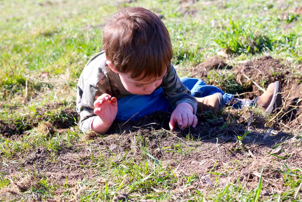 How to prepare your garden soil!