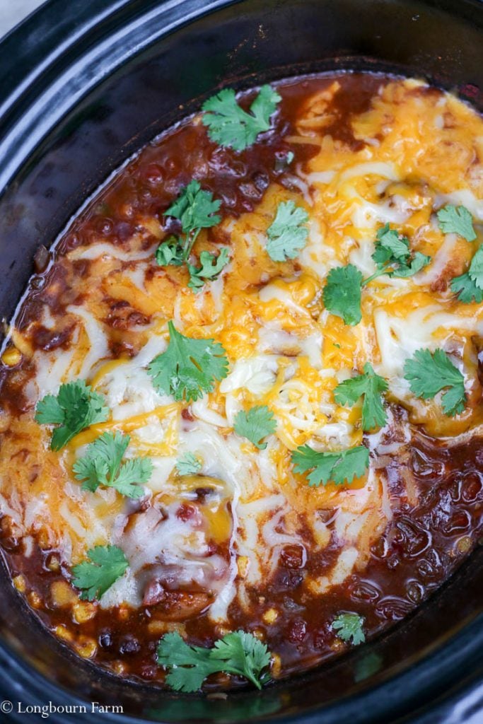 Slow Cooker Mexican Chicken!