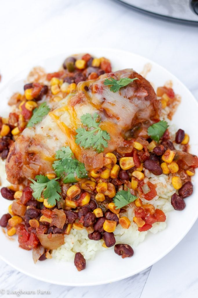 Finished slow cooker mexican chicken over rice on a white plate.