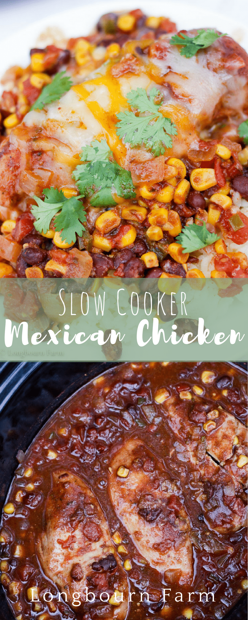 Slow cooker mexican chicken is delicious, packed with flavor and easy to make! Serve it over rice, quinoa, or even in a taco salad! Instant Family Favorite!