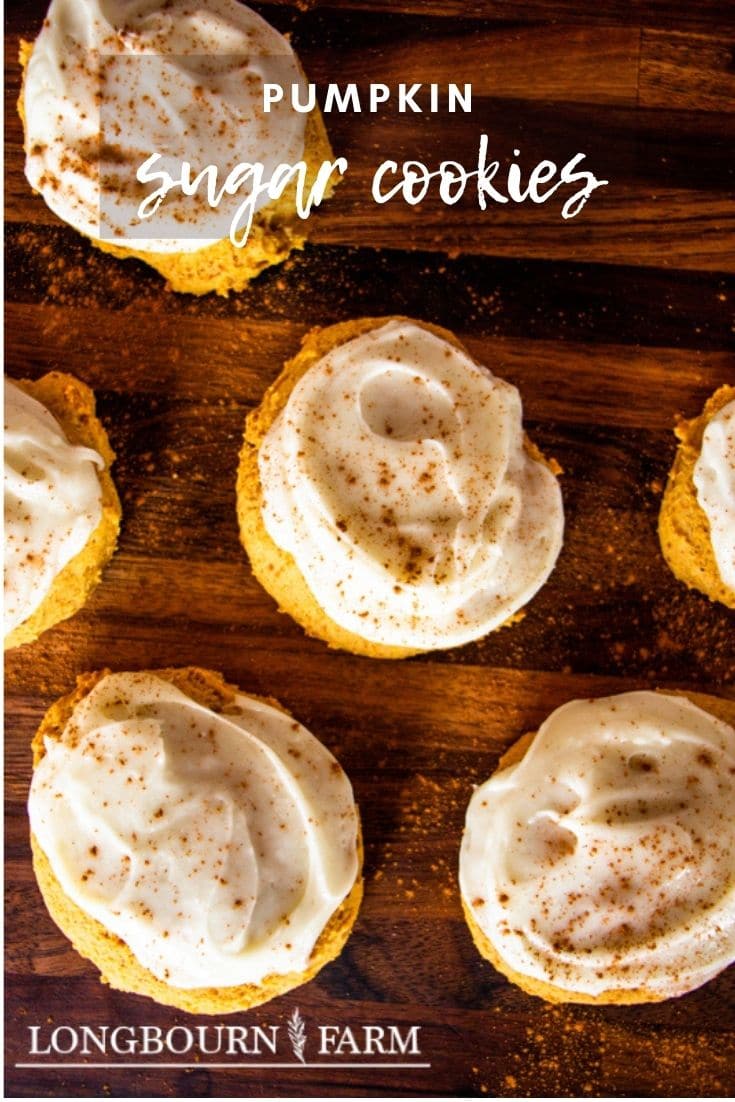 These pumpkin sugar cookies are perfect little treats for fall. Packed with flavor and topped with a homemade cream cheese icing.