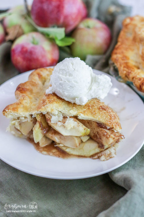 Slice of homemade apple pie on a white plate topped with vanilla ice cream. 