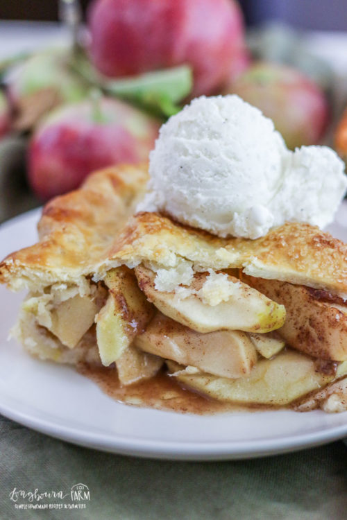 Close-up of homemade apple pie slice. 